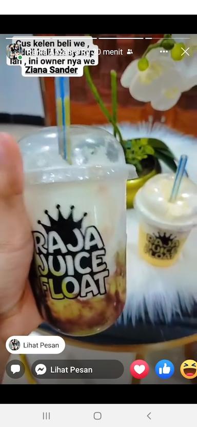 RAJA JUICE FLOAT