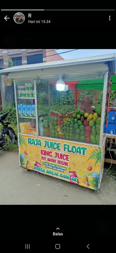 RAJA JUICE FLOAT