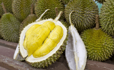 DURIAN SETAN