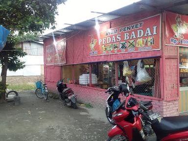 AYAM PENYET PEDAS BADAI