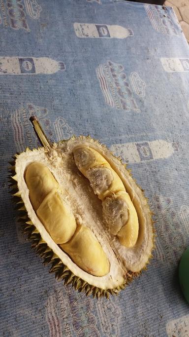 DURIAN SITEPU