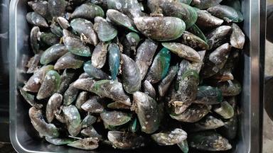 KERANG REBUS WOROENG ZIDAM