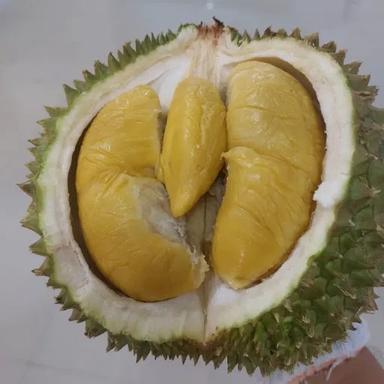 DURIAN BALIK PULAU PENANG