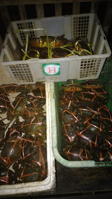 SUPPLIER KEPITING BAKAU HIDUP & FROZEN