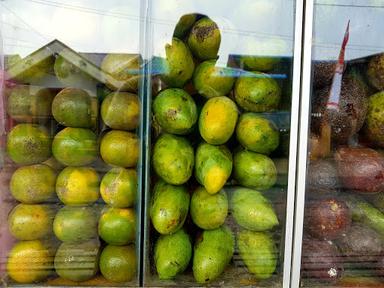 PONDOK BUAH POKOK KELAPA NEW