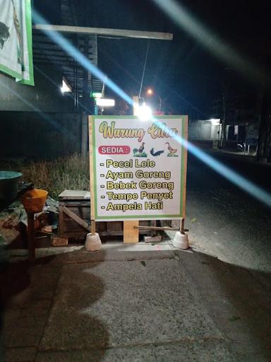 WARUNG CITRA(PECEL LELE & AYAM GORENG)