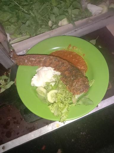 PECEL LELE BAROKAH LAMONGAN