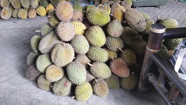 SAUNG DURIAN PAK ASROR