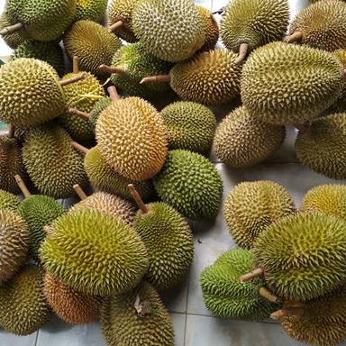 SAUNG DURIAN PAK ASROR