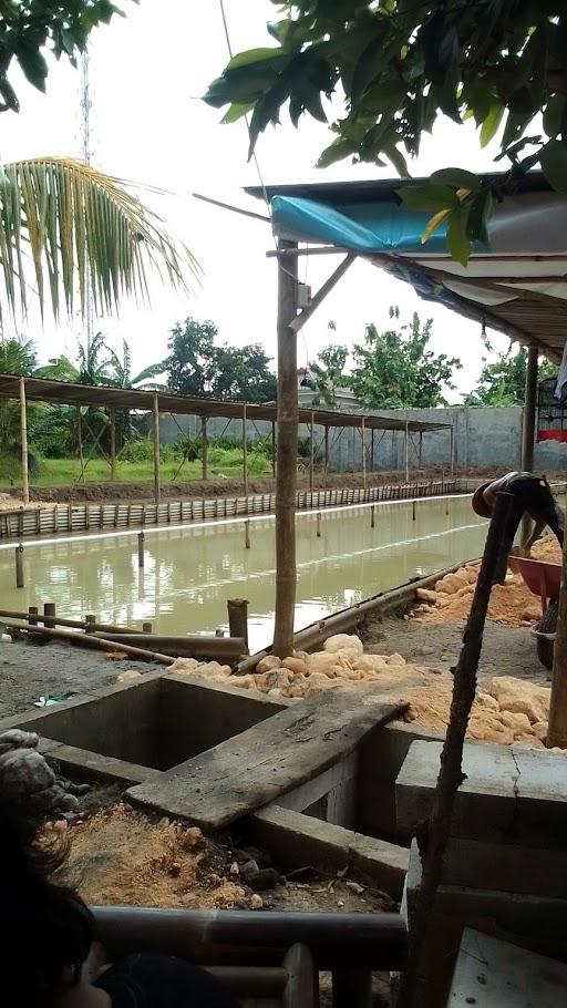 PEMANCINGAN JENGGELEK JAYA