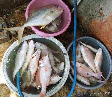 RESTORAN KAMPOENG BLEBAK