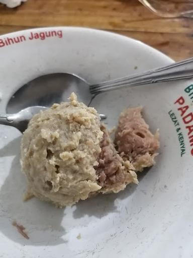 BAKSO MOJOSARI