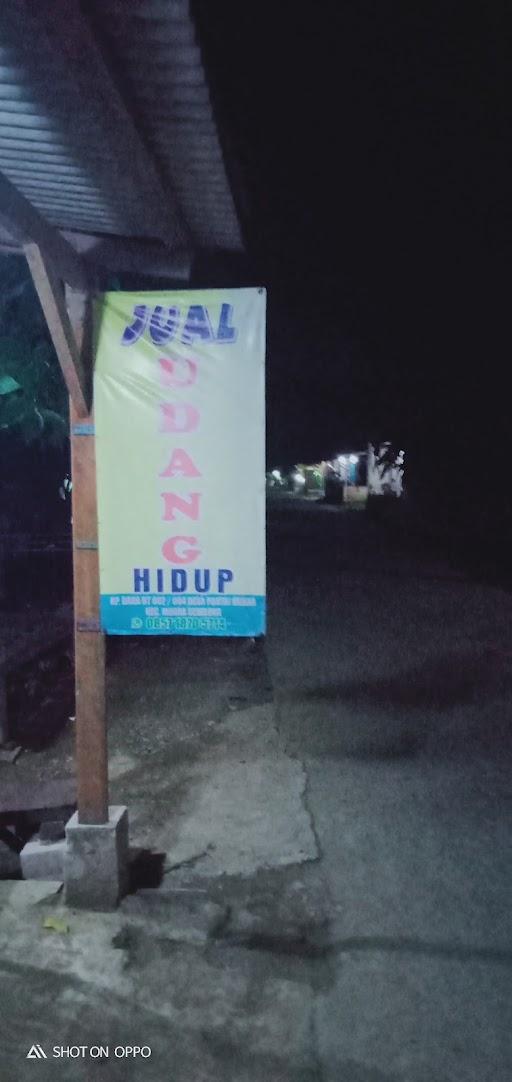 PUSAT UDANG HIDUP API DAN PECI