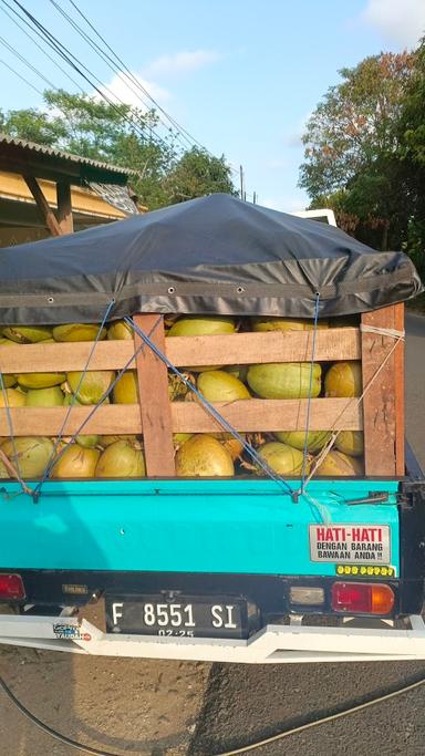 WARKOP DAN KELAPA MUDA