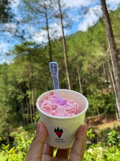 FOREST GELATO