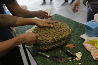 TOP DURIAN YOGYAKARTA