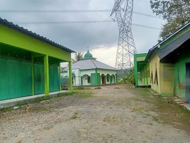 BAKSO DAN MIE AYAM JUNIOR