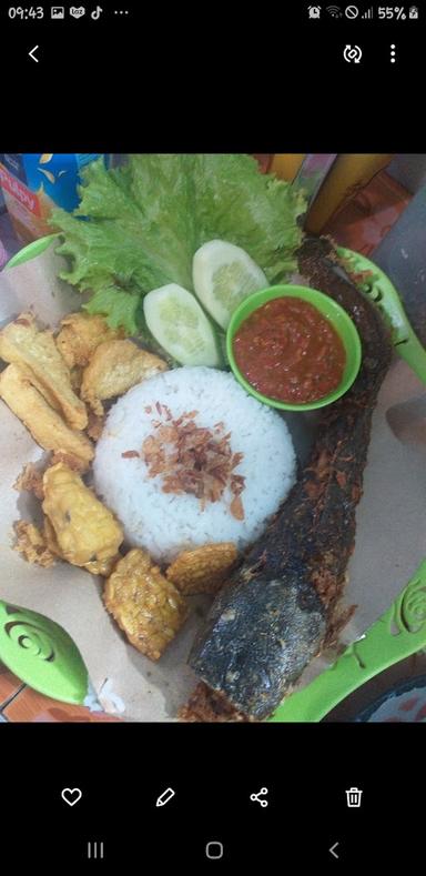 PECEL LELE & AYAM MBAK IIN