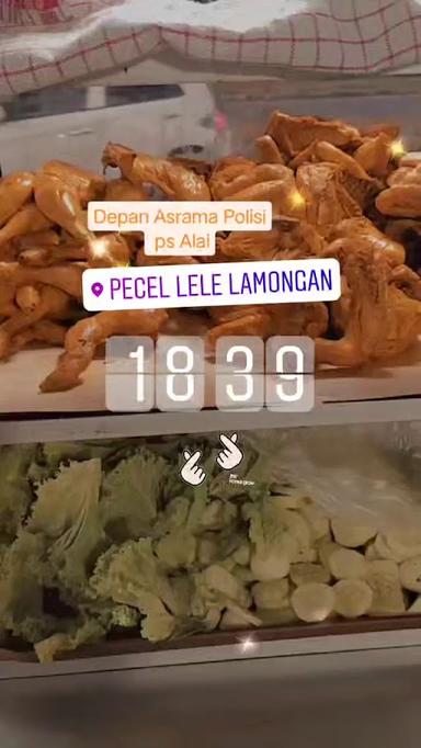 PECEL LELE&AYAM LAMONGAN87