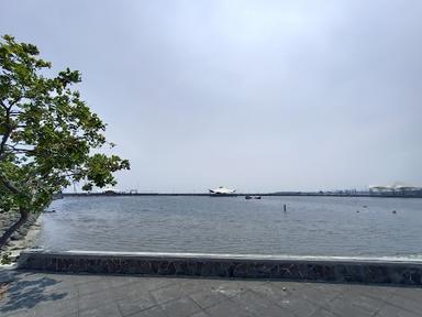 OENPAO ( ANCOL )