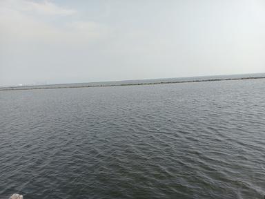 OENPAO ( ANCOL )