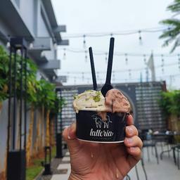 LATTERIA GELATO, BSD