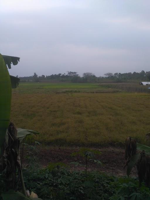 WARUNG NASI DAN GADO2 BU TAMI