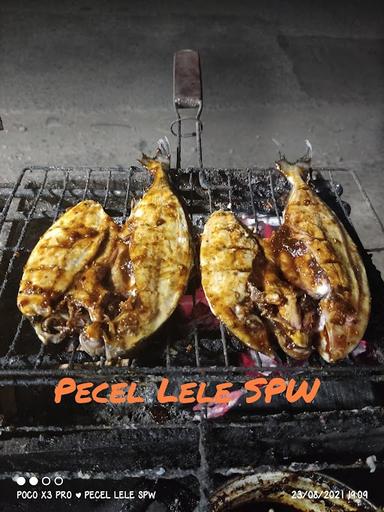 PECEL LELE SPW