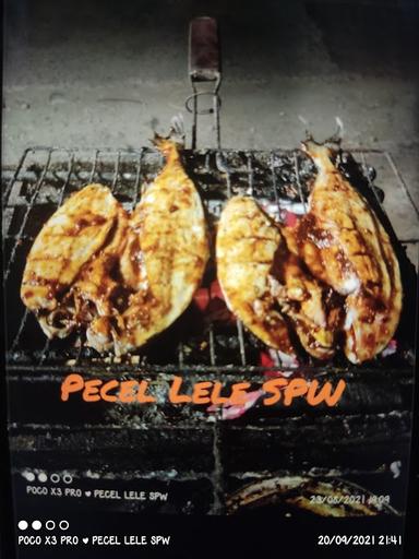 PECEL LELE SPW