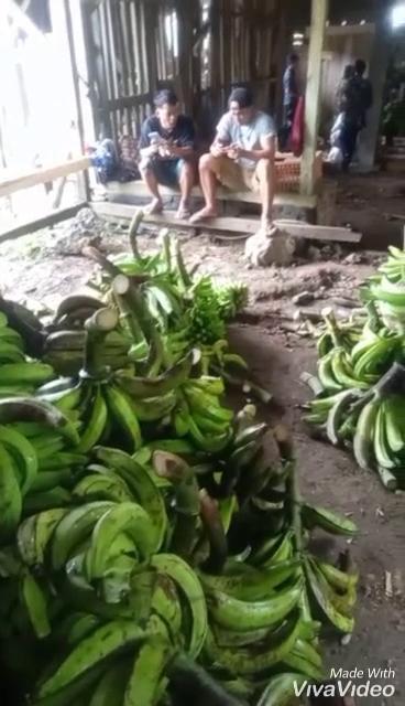 PISANG TANDUK GORENG JUMBO