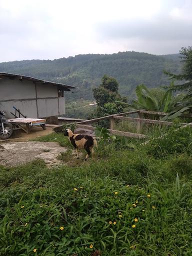 WARUNG KOPI PANAS