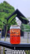 Kopiluvium Pamulang