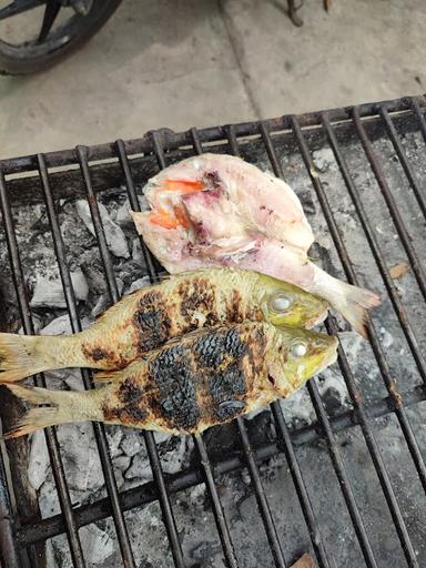 WARUNG IKAN BAKAR PAK HASAN