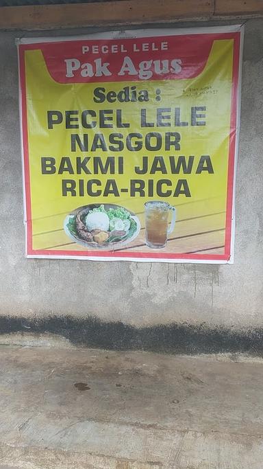 PECEL LELE PAK AGUS TIKUNGAN