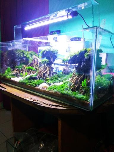 ABUY AQUASCAPE