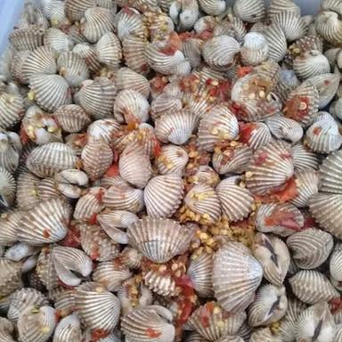 KERANG YUSUF ALKID