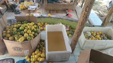 ANGKRINGAN PENGKOLAN KADATUAN