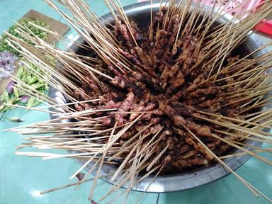 SATE AYAM/AYAM GORENG SALJU