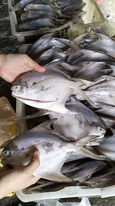 RUMAH MAKAN SEAFOOD LIK SITI'