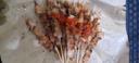 Sate Taichan Karai 59