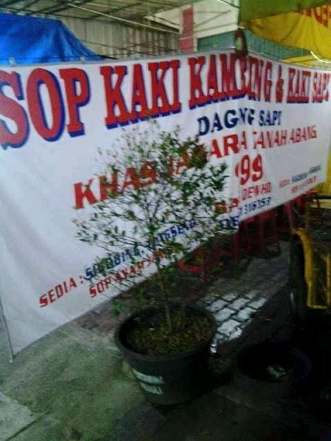 SOP KAMBING 999 SAEFUL