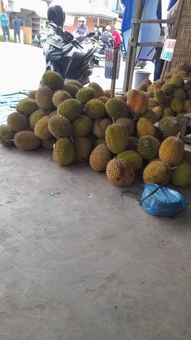 INDO DURIAN