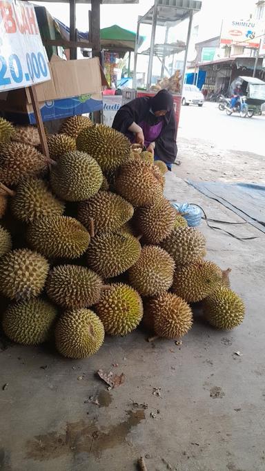 INDO DURIAN