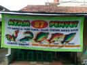 Ayam Penyet 87