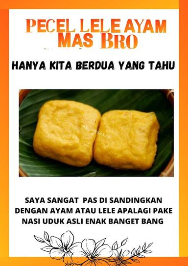 NASI UDUK PECEL LELE AYAM MASBRO