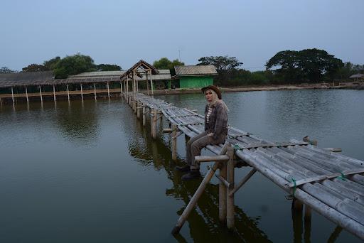 SAUNG HIJAU