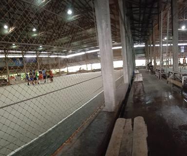 WARKOP MEGA FUTSAL PERDANA