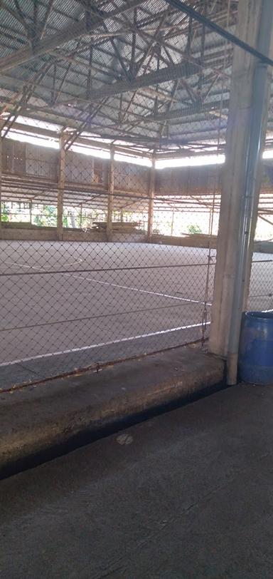 WARKOP MEGA FUTSAL PERDANA