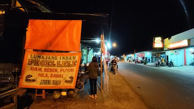 LESEHAN PECEL LELE LUMAJANG