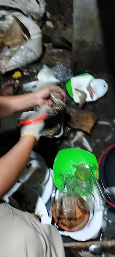 IKAN BAKAR SARI LAUT CEMARA